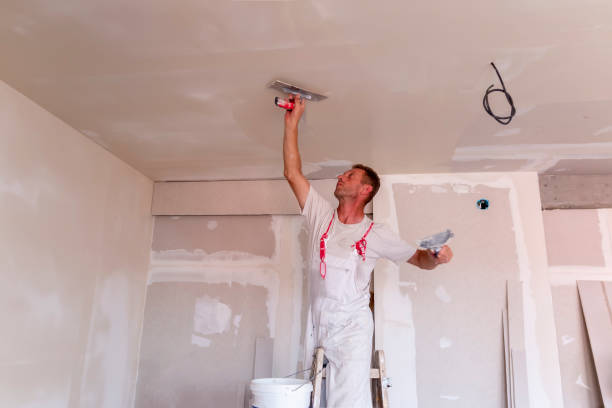 Best Ceiling Drywall Installation  in Valencia, NM